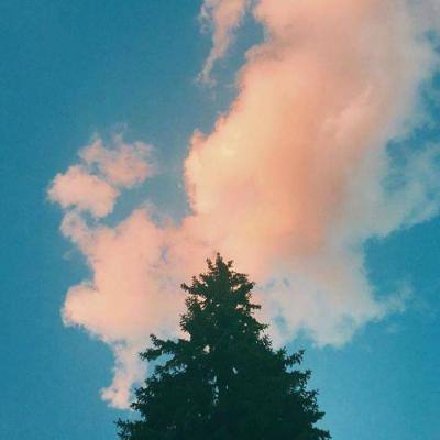 PG·麻将胡了手机app下载