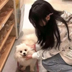 管家婆期期四肖四码中特管家app下载